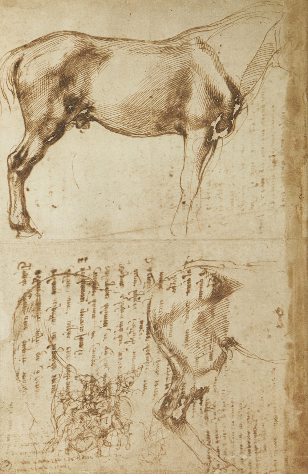 Offset Lithograph After Da Vinci's Notebook Sketches