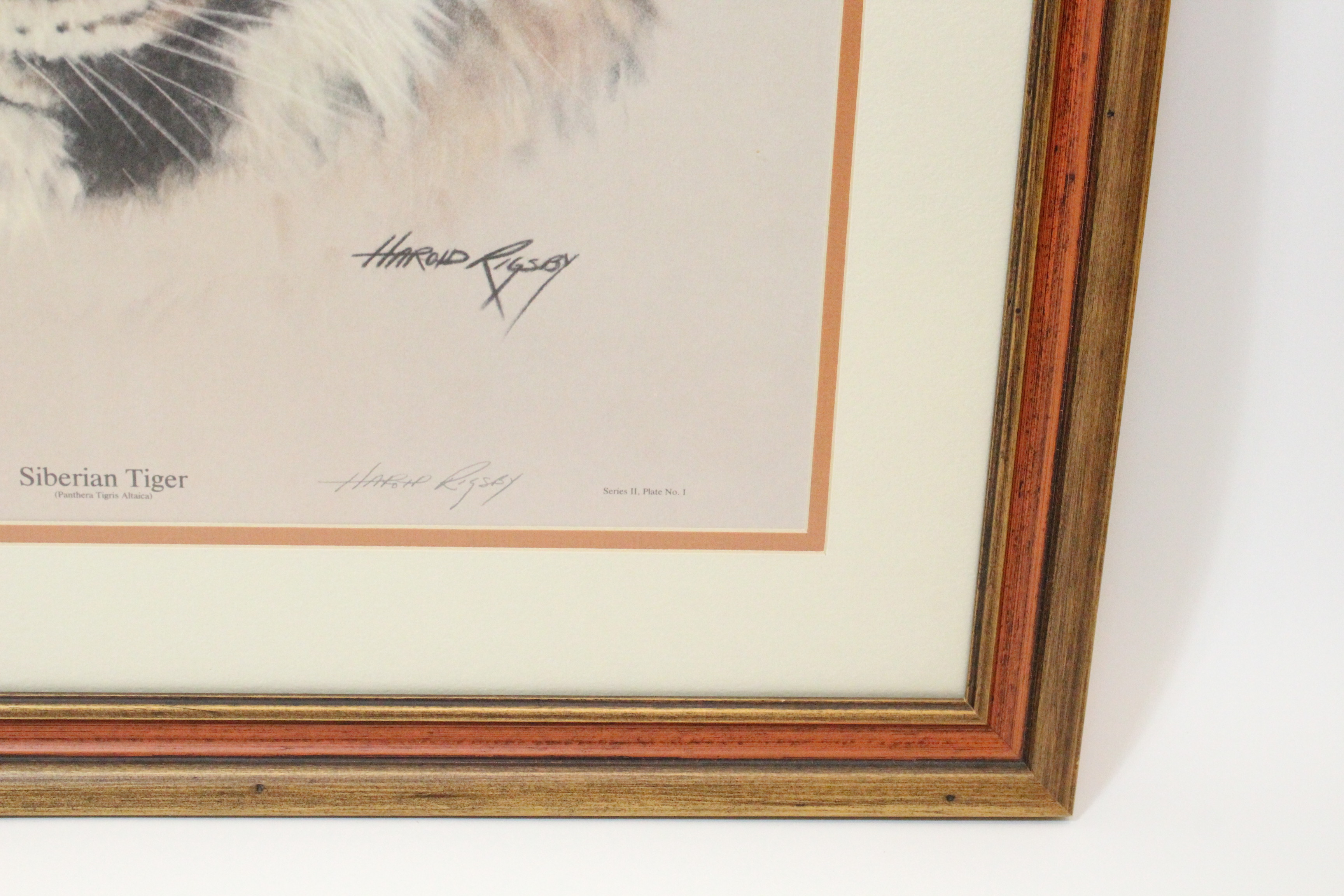 Signed Harold Rigsby Limited Edition Lithograph "Siberian Tiger"