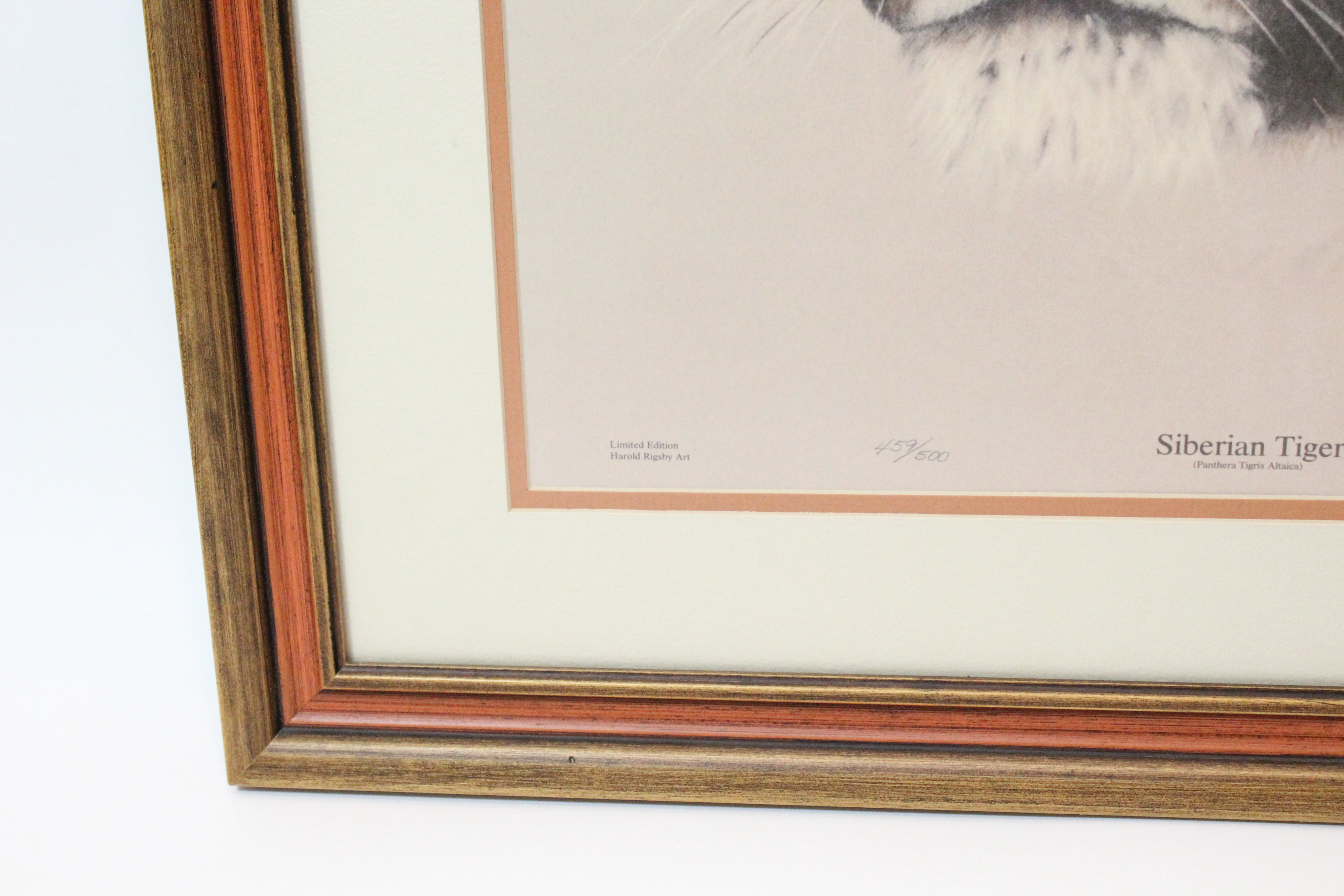 Signed Harold Rigsby Limited Edition Lithograph "Siberian Tiger"