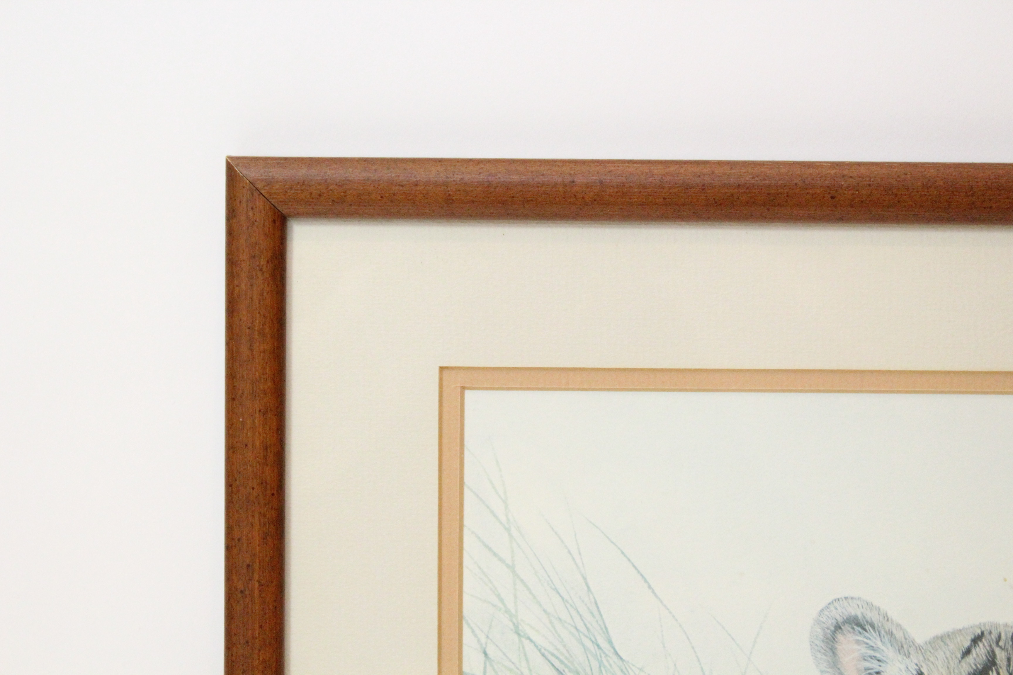 Signed Imogene H. Farnsworth Limited Edition Offset Lithograph "Bengal Cub, With Football"