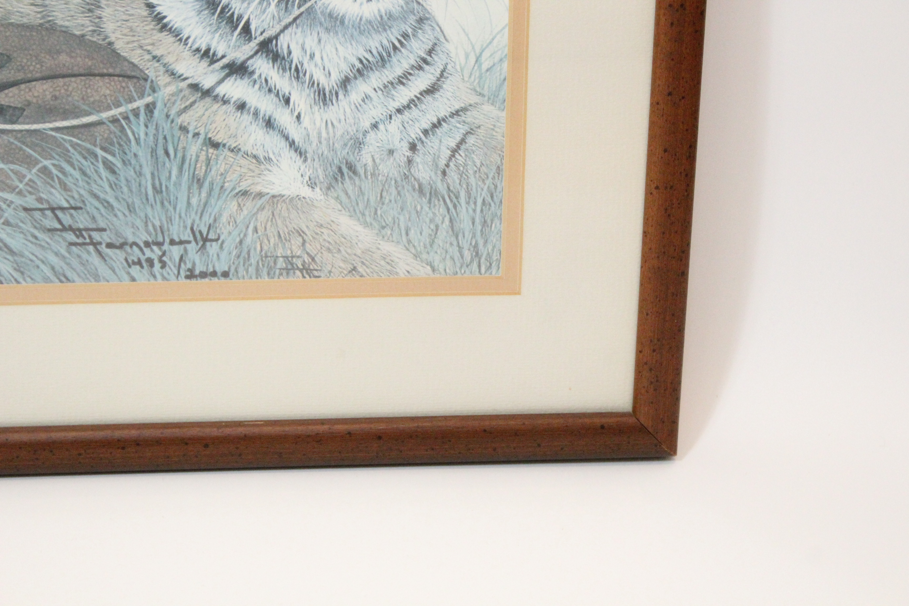 Signed Imogene H. Farnsworth Limited Edition Offset Lithograph "Bengal Cub, With Football"