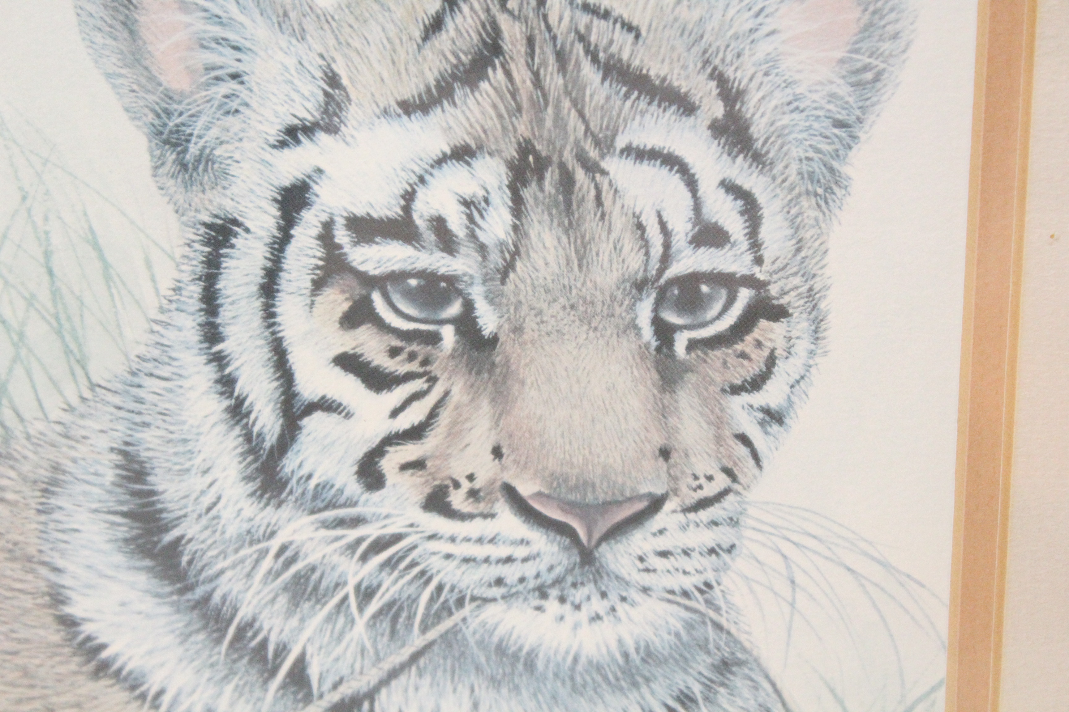 Signed Imogene H. Farnsworth Limited Edition Offset Lithograph "Bengal Cub, With Football"