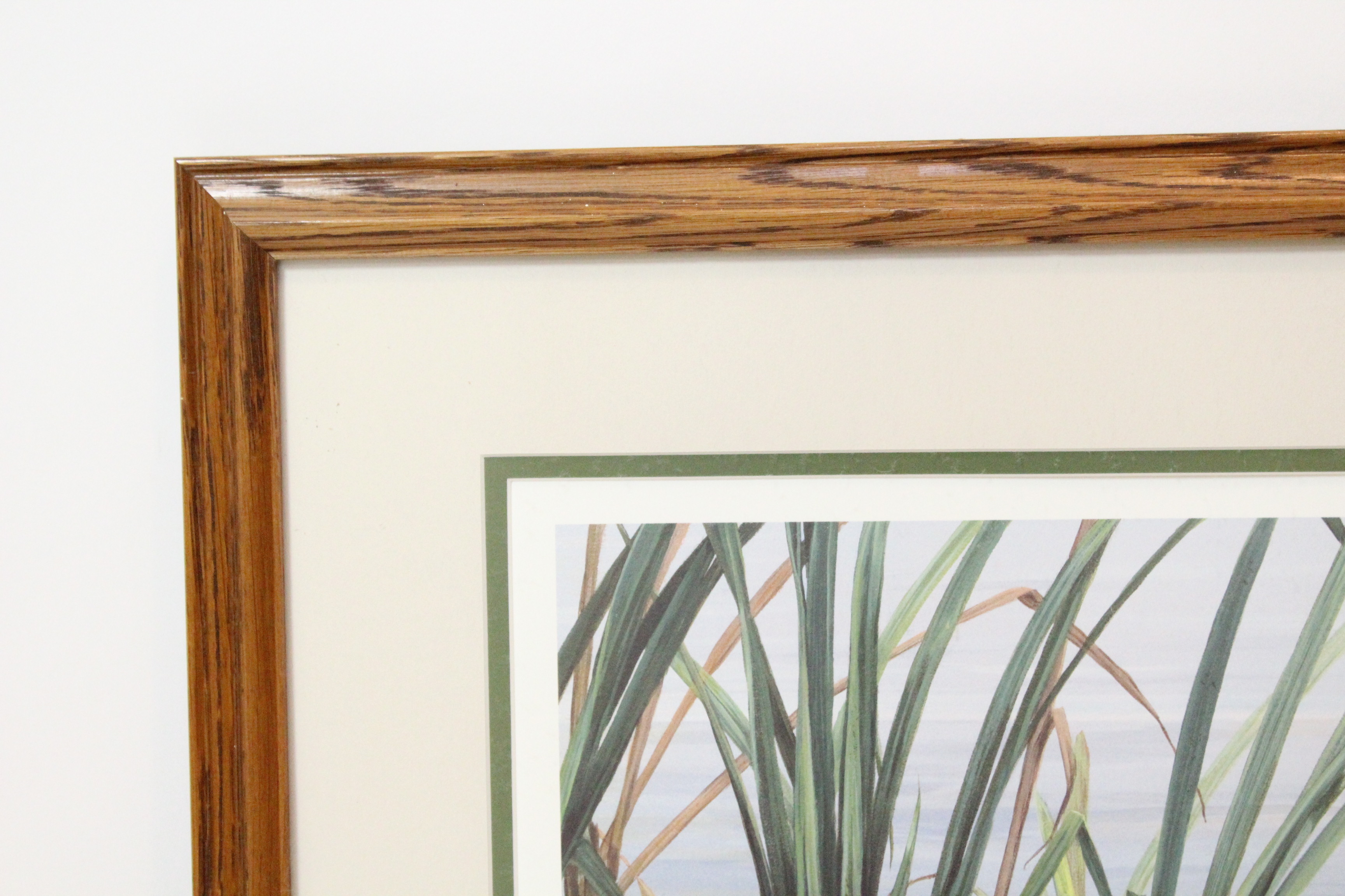 Signed Luke Raffin Limited Edition Lithograph "Mallard Family"