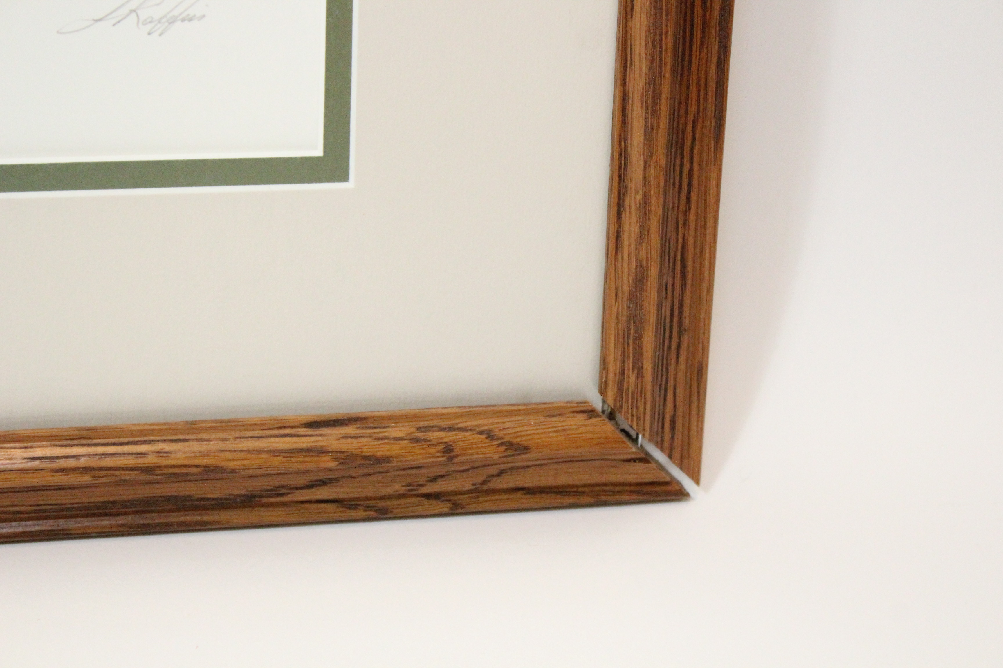 Signed Luke Raffin Limited Edition Lithograph "Mallard Family"