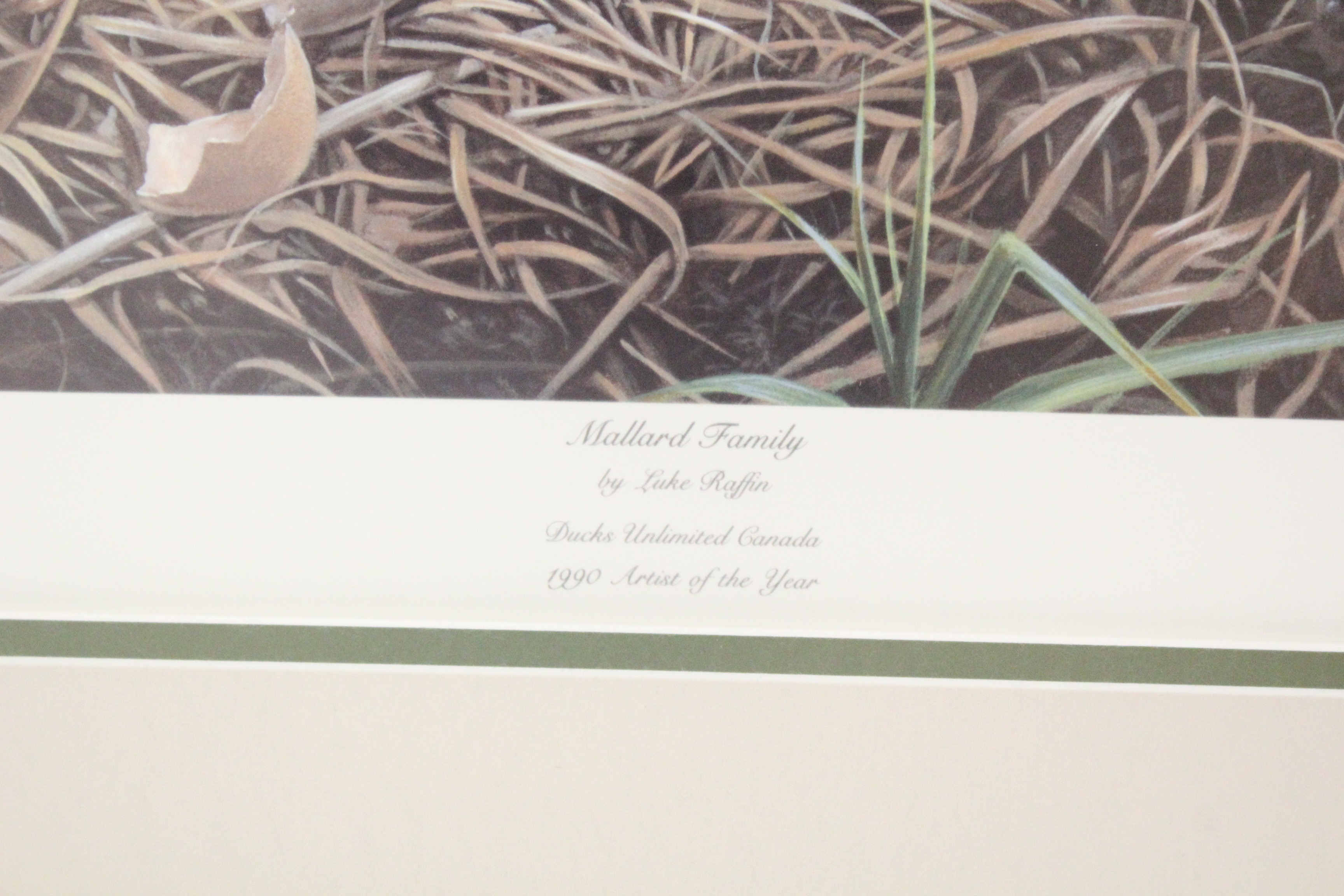 Signed Luke Raffin Limited Edition Lithograph "Mallard Family"