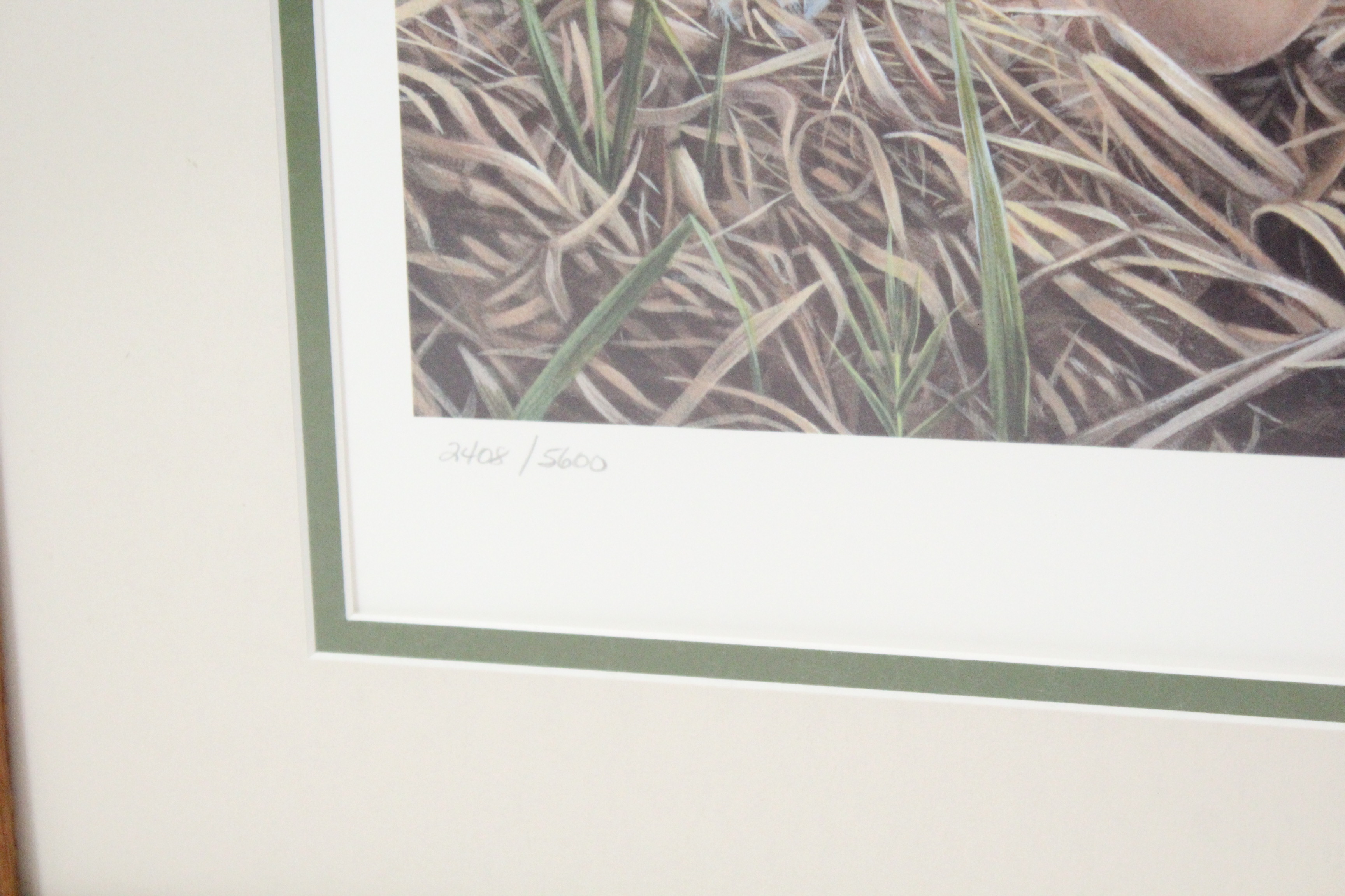 Signed Luke Raffin Limited Edition Lithograph "Mallard Family"