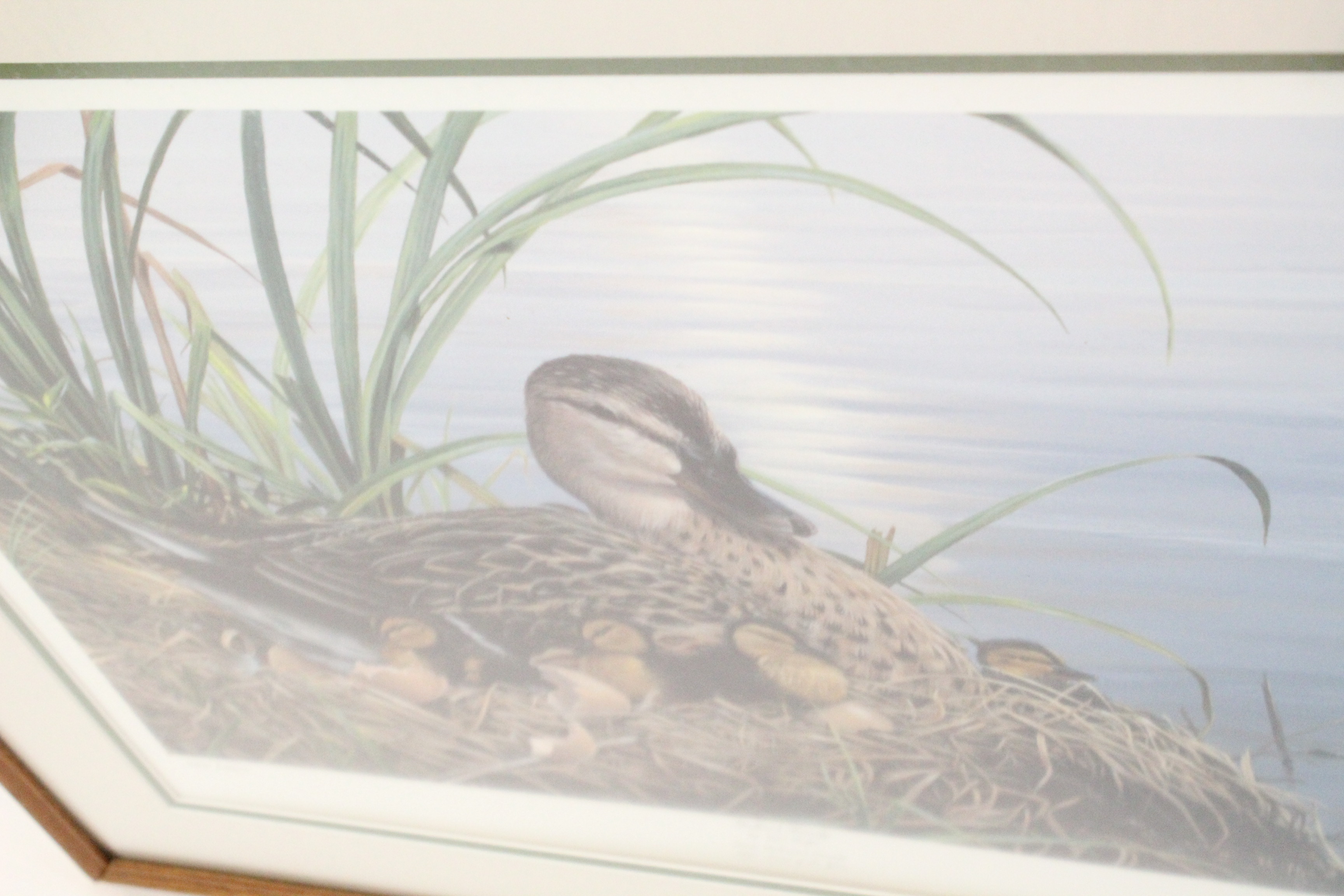 Signed Luke Raffin Limited Edition Lithograph "Mallard Family"