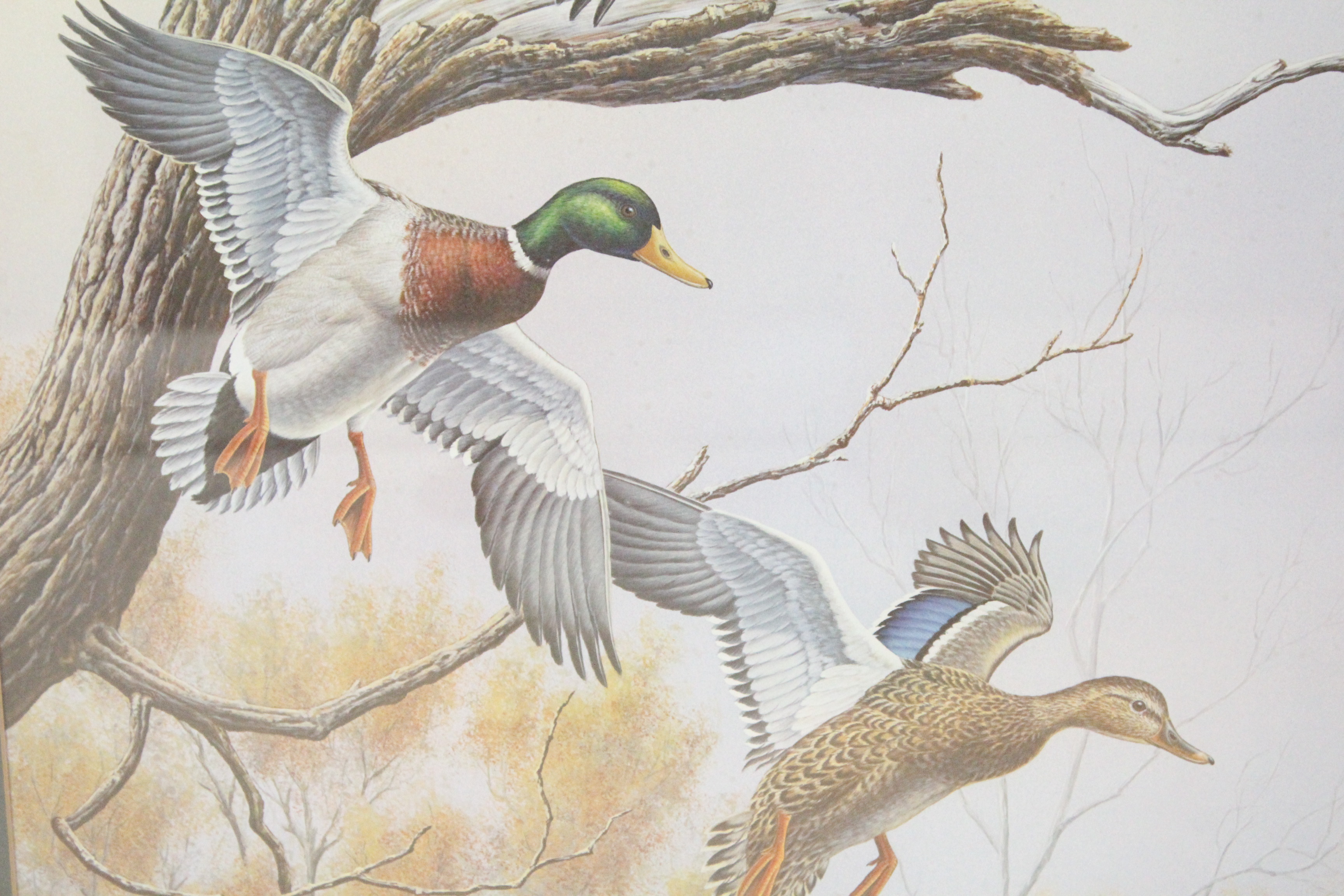 Signed Dave Chapple Limited Edition Watercolor "Autumn Mist - Mallards"