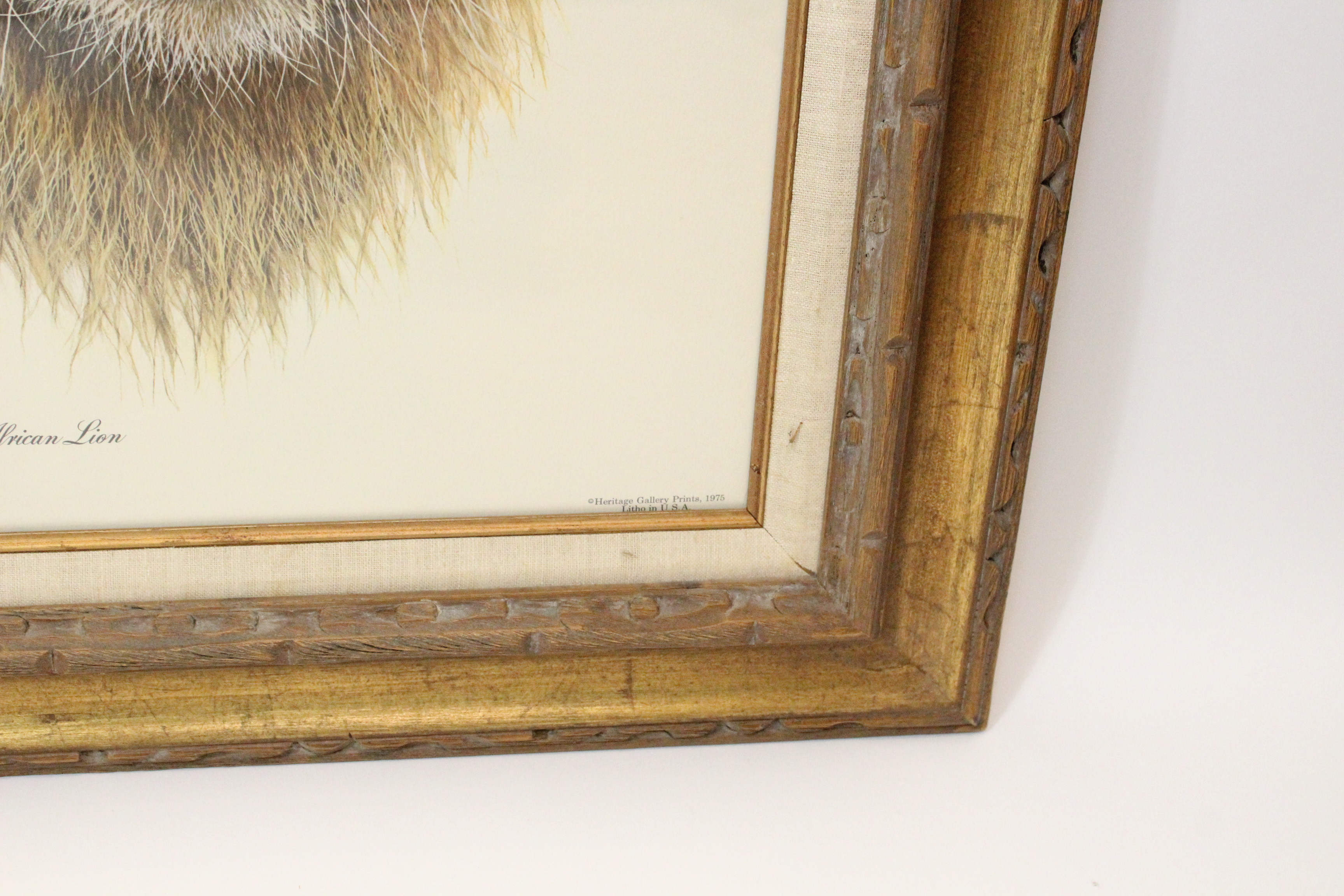 Signed Imogene Farnsworth Offset Lithograph "African Lion"