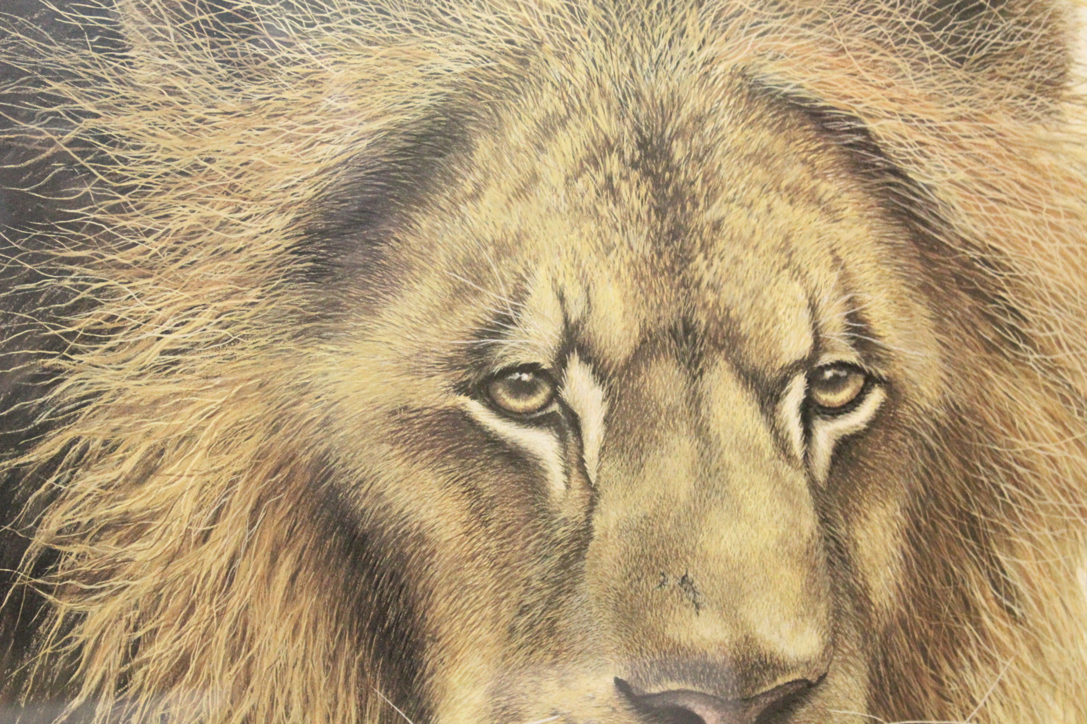 Signed Imogene Farnsworth Offset Lithograph "African Lion"