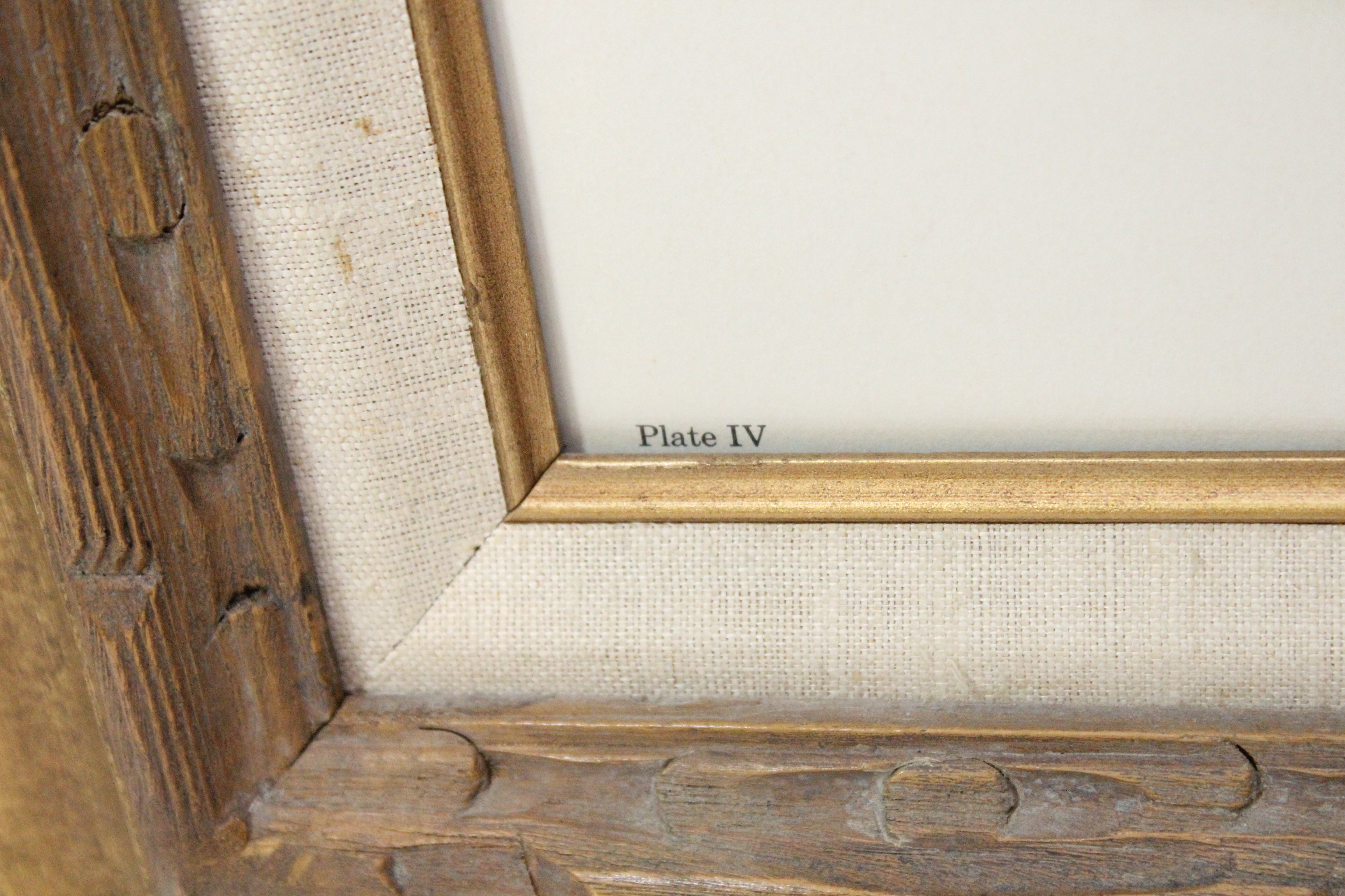 Signed Imogene Farnsworth Offset Lithograph "African Lion"