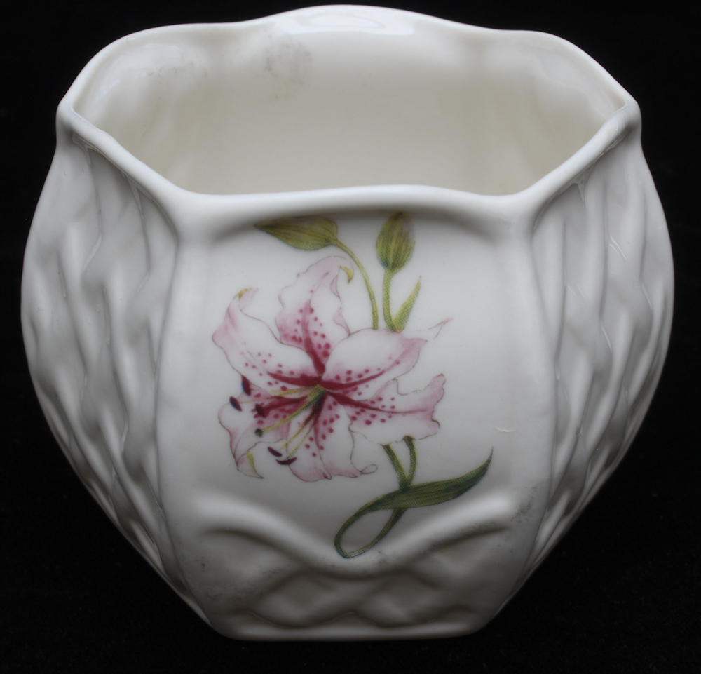 Belleek Porcelain Vases