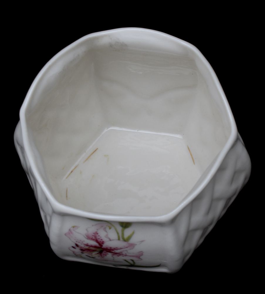 Belleek Porcelain Vases