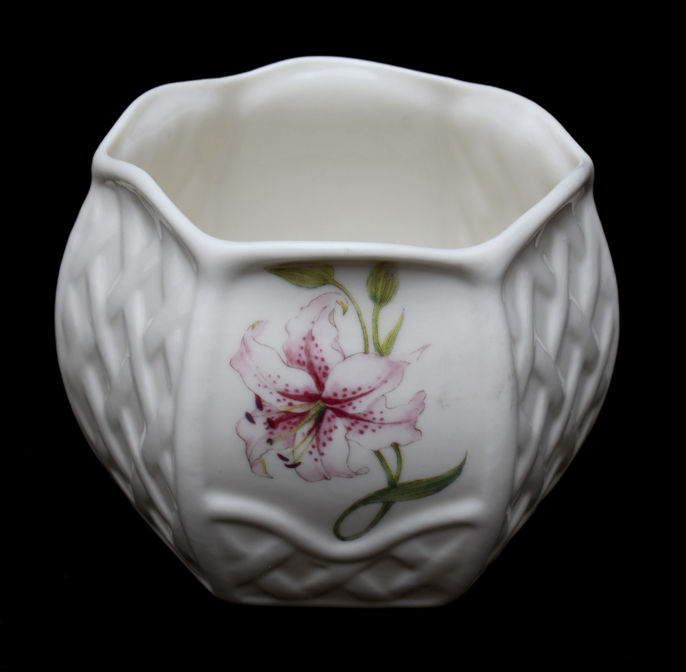 Belleek Porcelain Vases