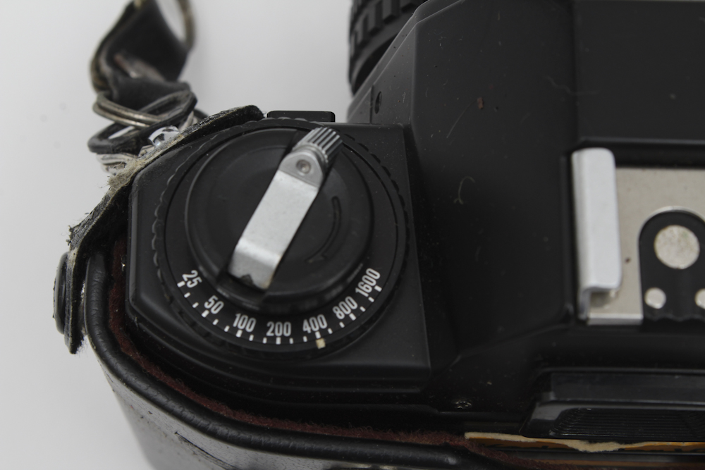 Collection of Vintage Cameras and Accessories