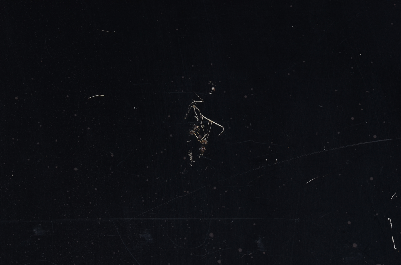 Dr Pepper Metal Advertisment Menu Boards