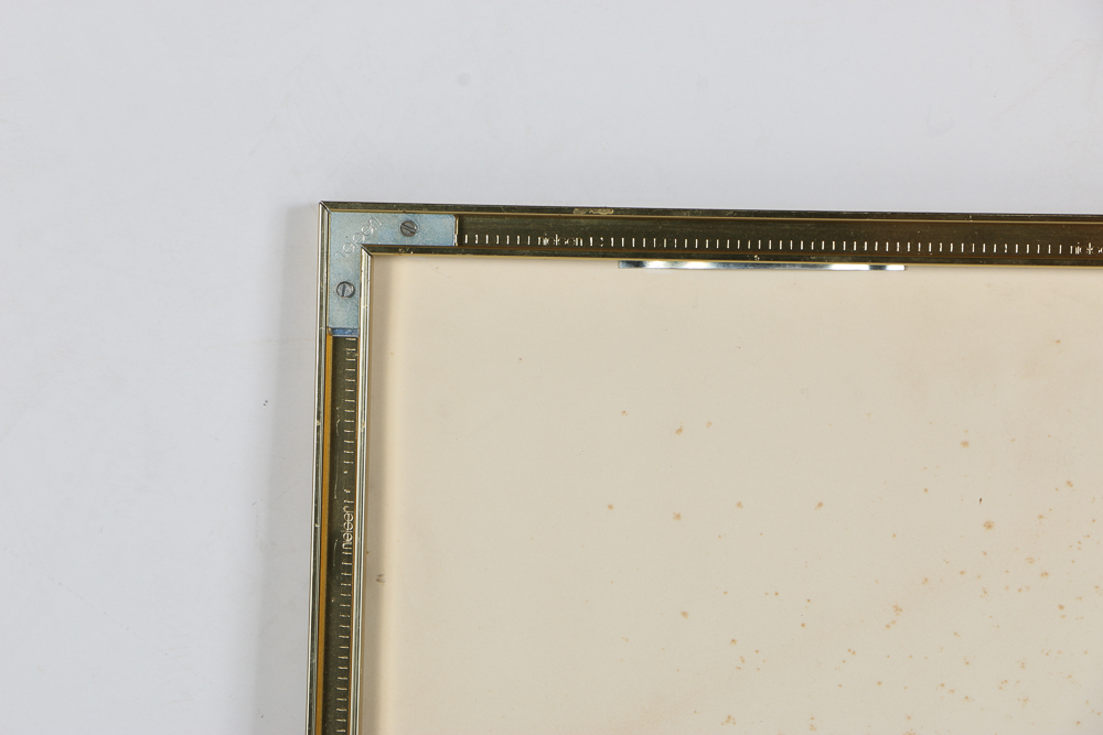 Offset Lithograph After Thalia Lincoln "Strelitzia Reginae"