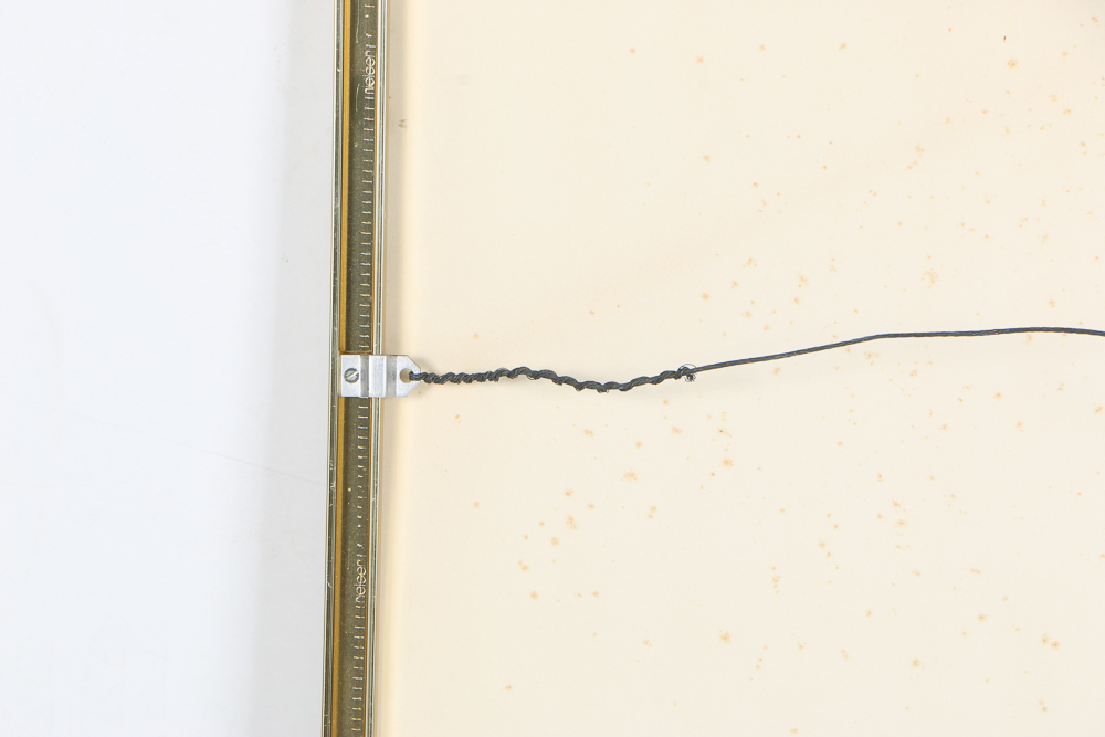 Offset Lithograph After Thalia Lincoln "Strelitzia Reginae"