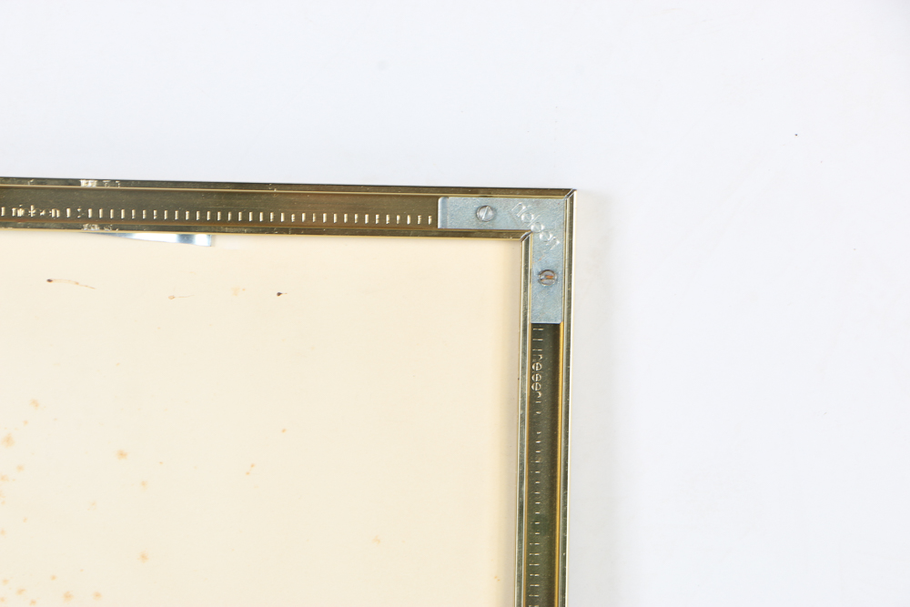 Offset Lithograph After Thalia Lincoln "Strelitzia Reginae"