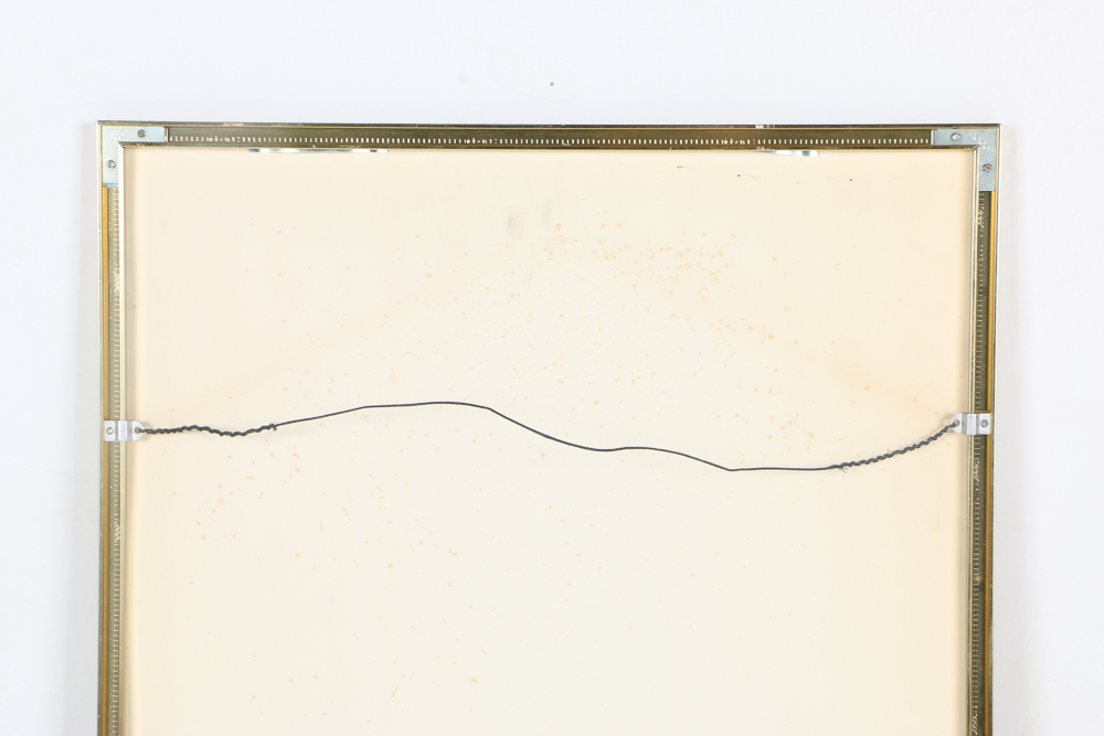 Offset Lithograph After Thalia Lincoln "Strelitzia Reginae"