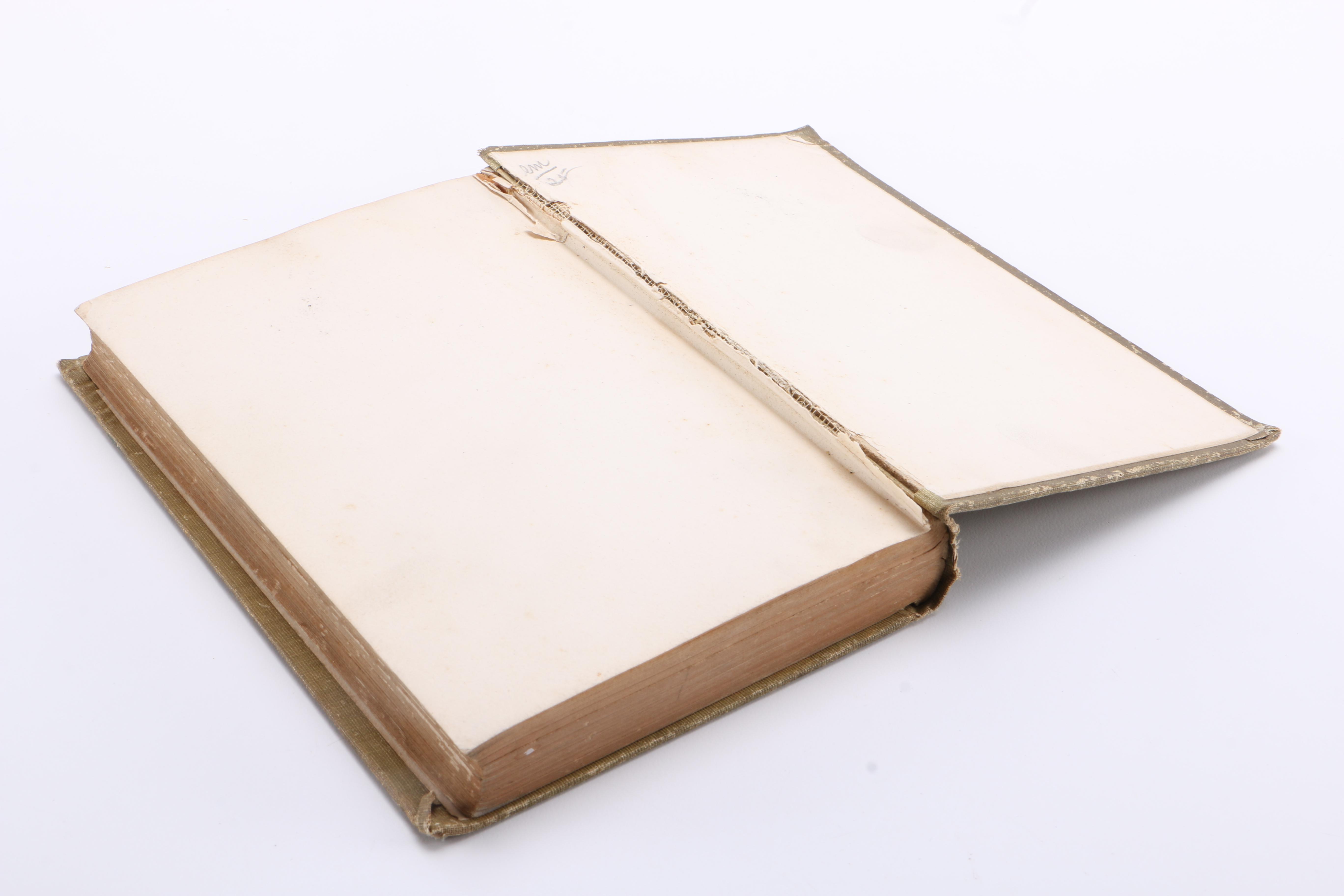 Early 1900s "Black Beauty" by Anna Sewell