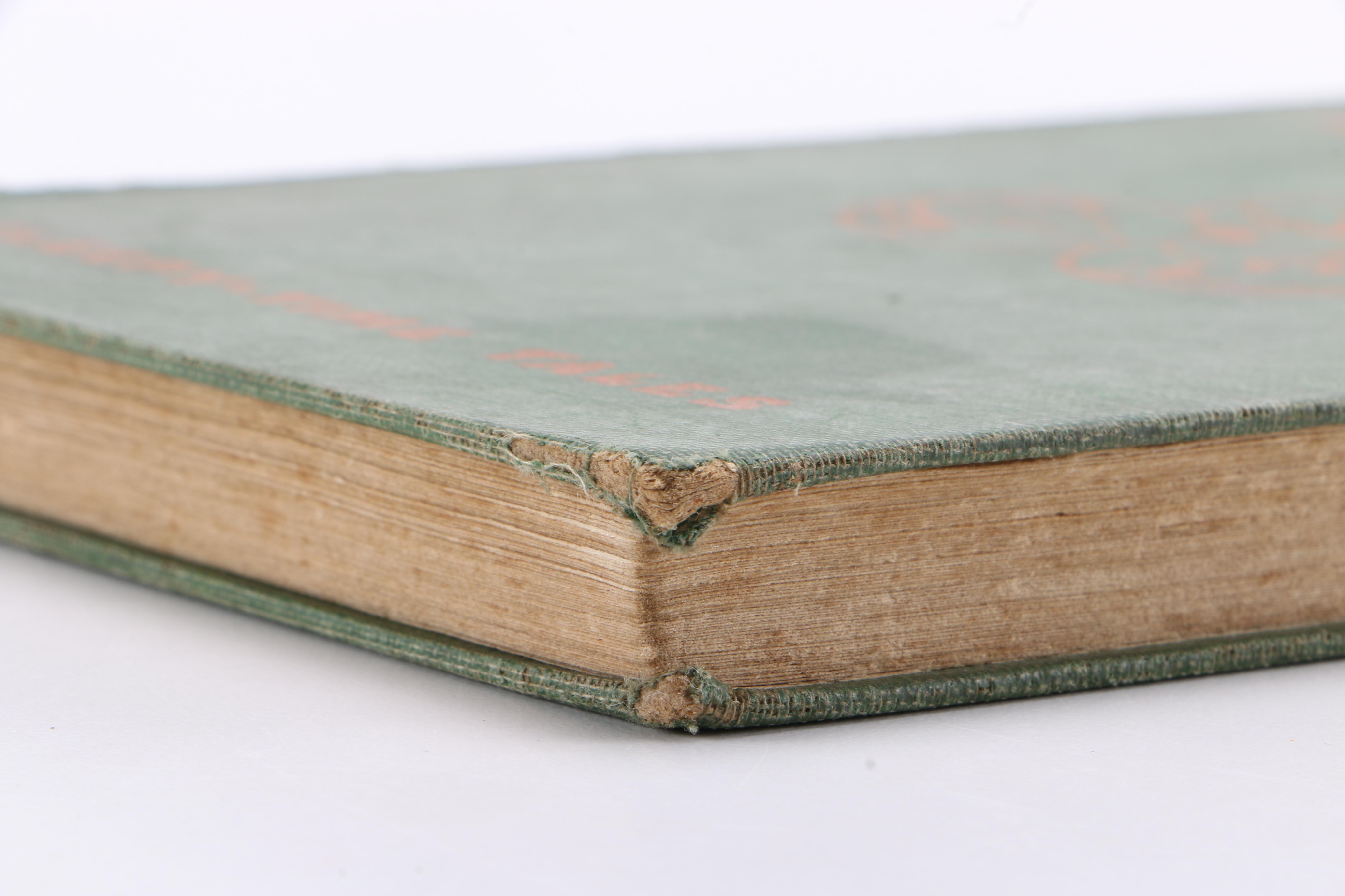 1920 "The Tale of Grumpy Weasel" by Arthur Scott Bailey