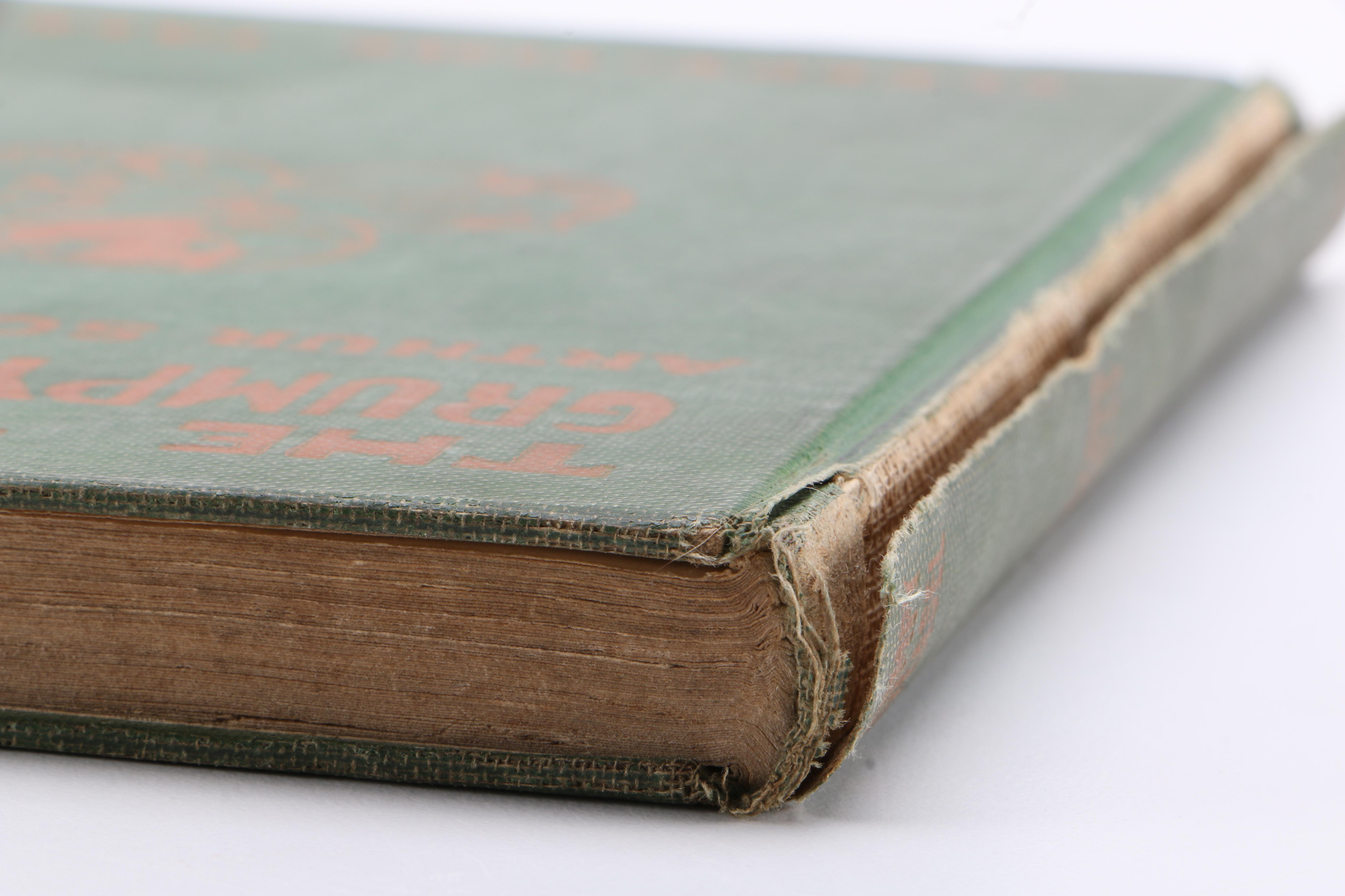 1920 "The Tale of Grumpy Weasel" by Arthur Scott Bailey