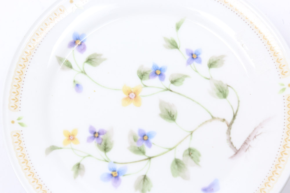 Mikasa "Nature's Garden" China Place Settings for Six