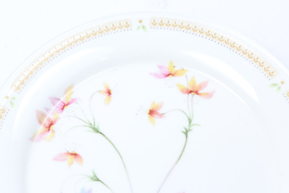 Mikasa "Nature's Garden" China