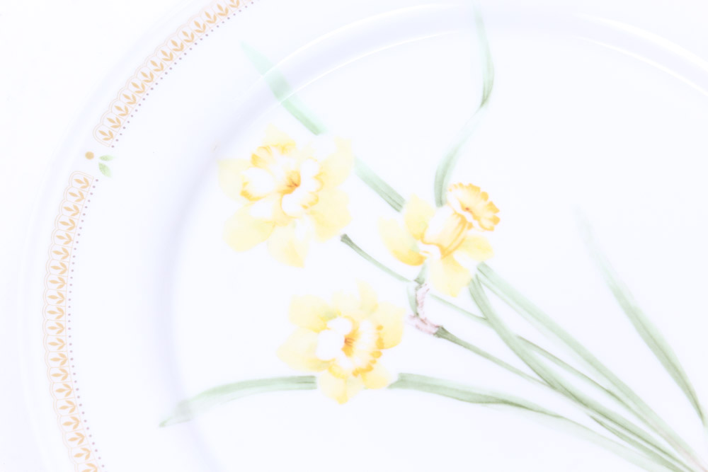 Mikasa "Nature's Garden" China