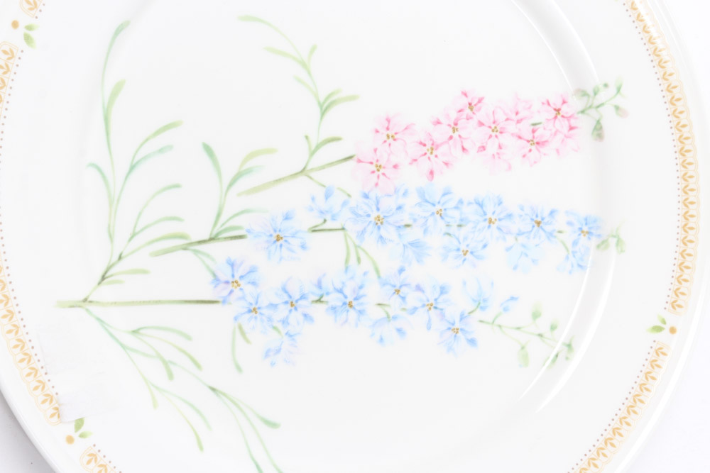 Mikasa "Nature's Garden" China