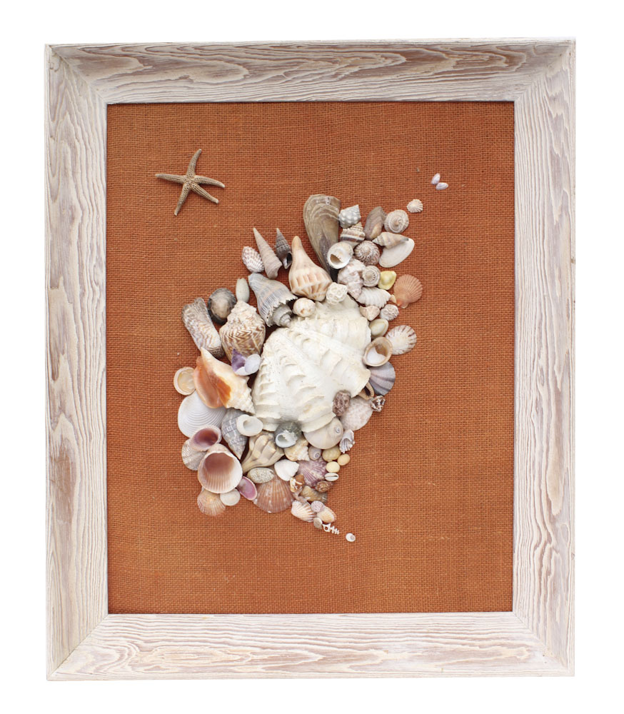 Grouping of Sea Shell Decor