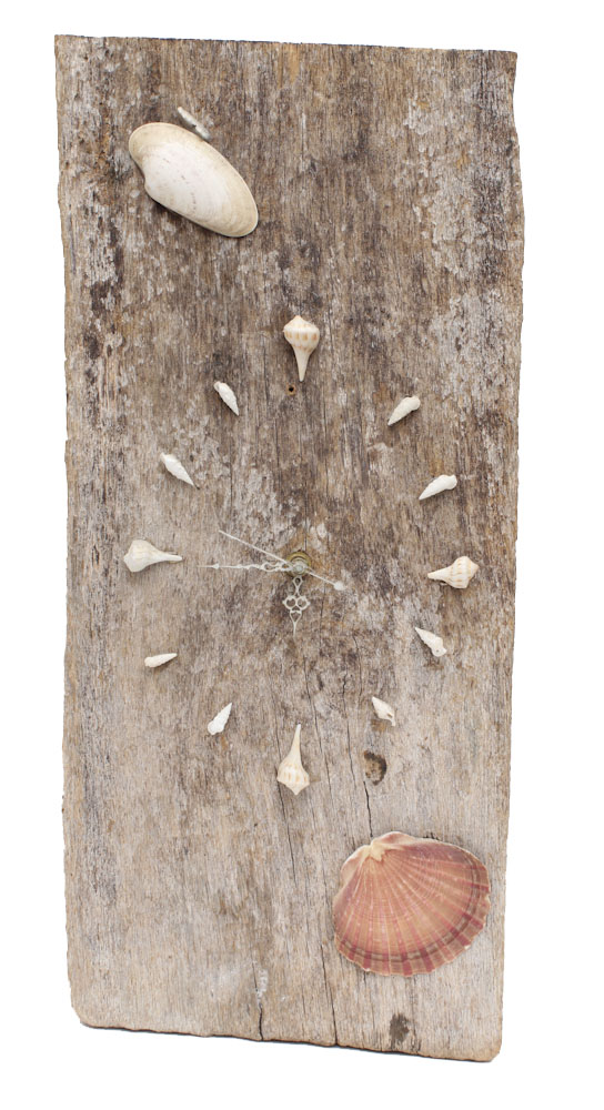 Grouping of Sea Shell Decor