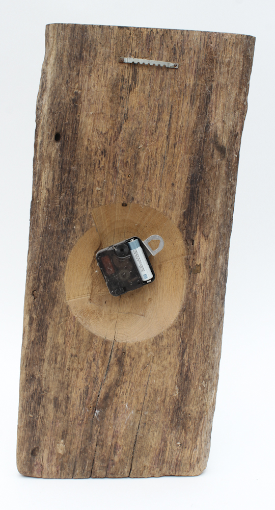 Grouping of Sea Shell Decor