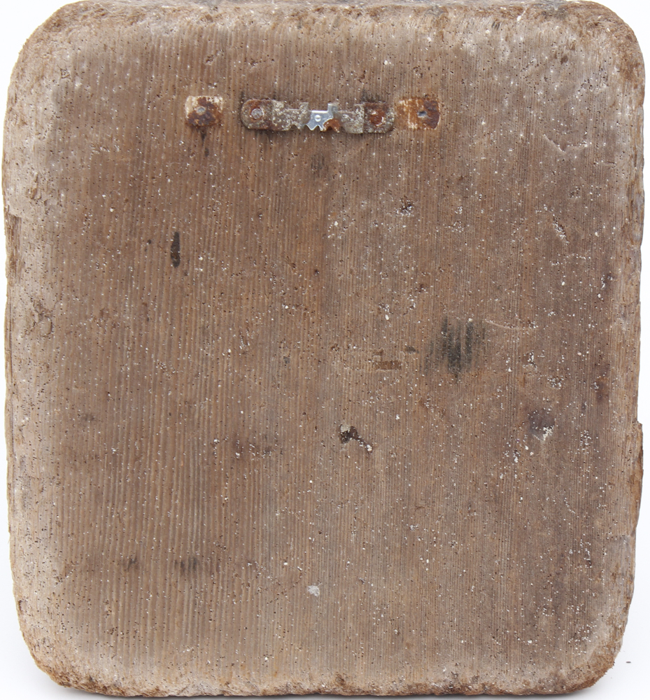 Grouping of Sea Shell Decor