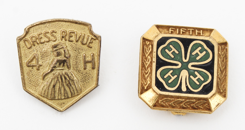 Vintage Lapel Pins