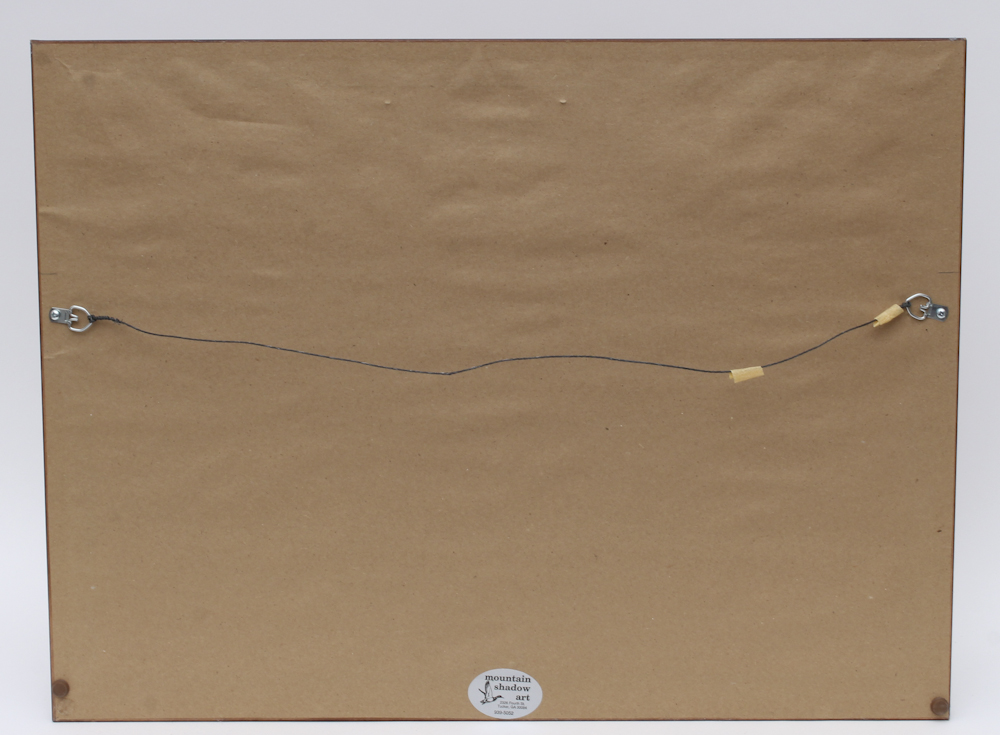 Framed American Flag