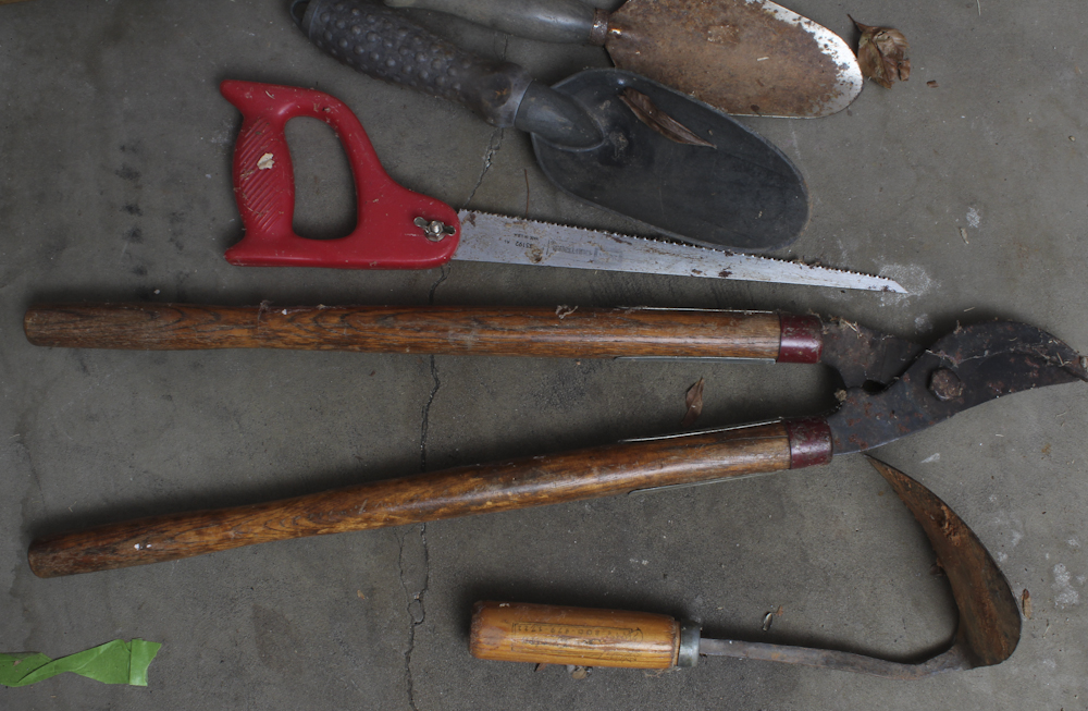 Assortment of Garden Tools