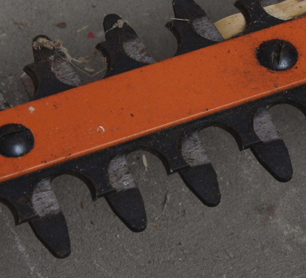 Assortment of Garden Tools