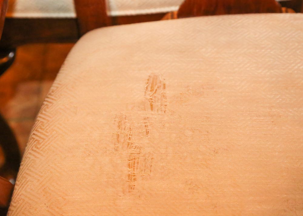 Queen Anne Style Dining Chairs