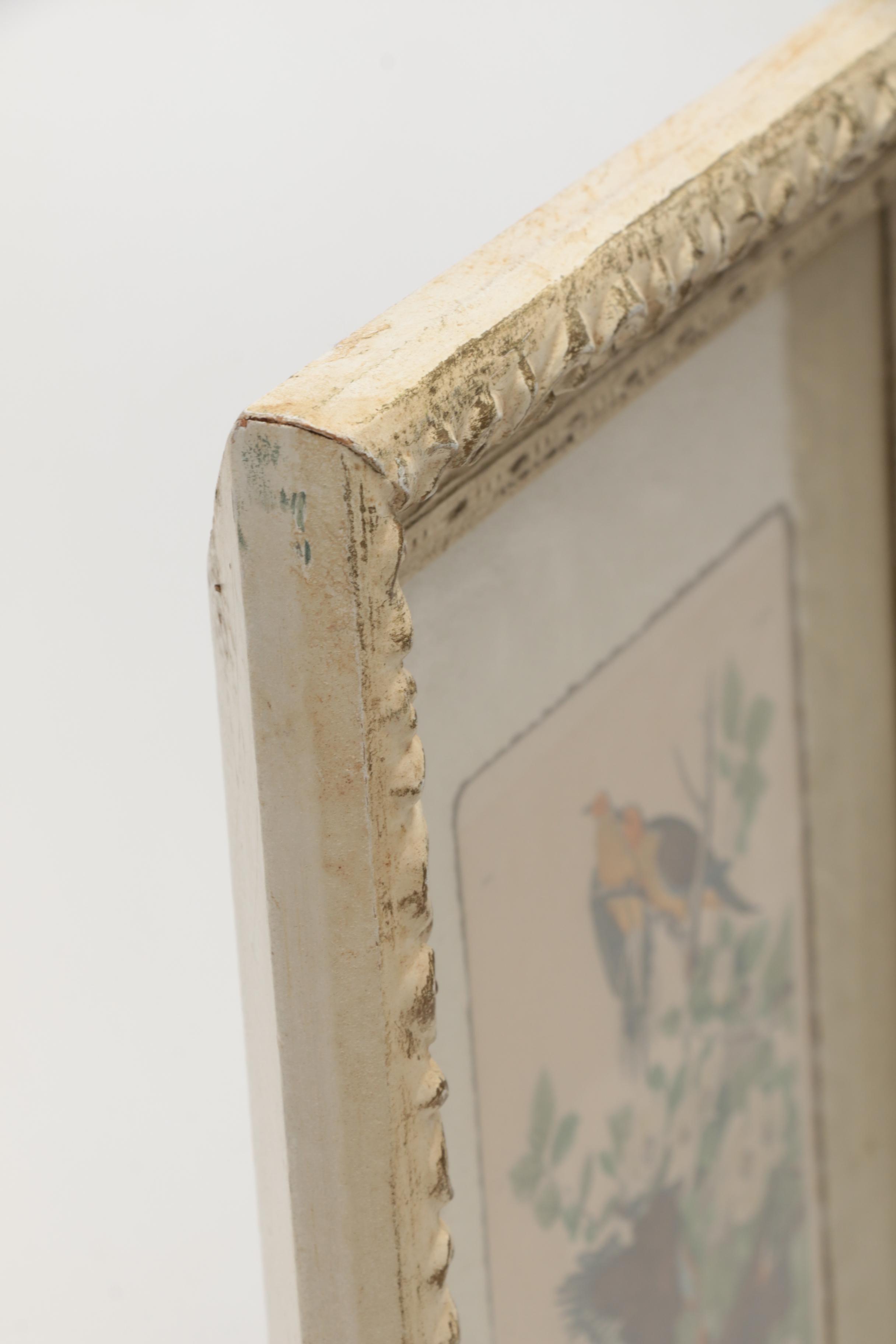 Hand-colored Half Tone Print After John J. Audubon's "Canadian Turtle Dove"