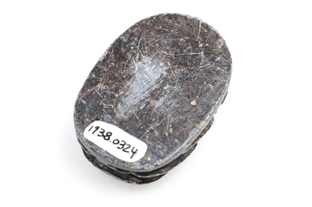 Antique Egyptian Black Wood Scarab