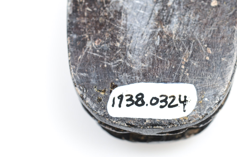 Antique Egyptian Black Wood Scarab