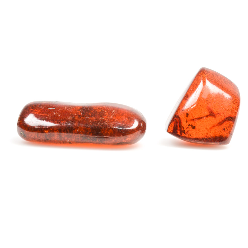 Amber Specimens