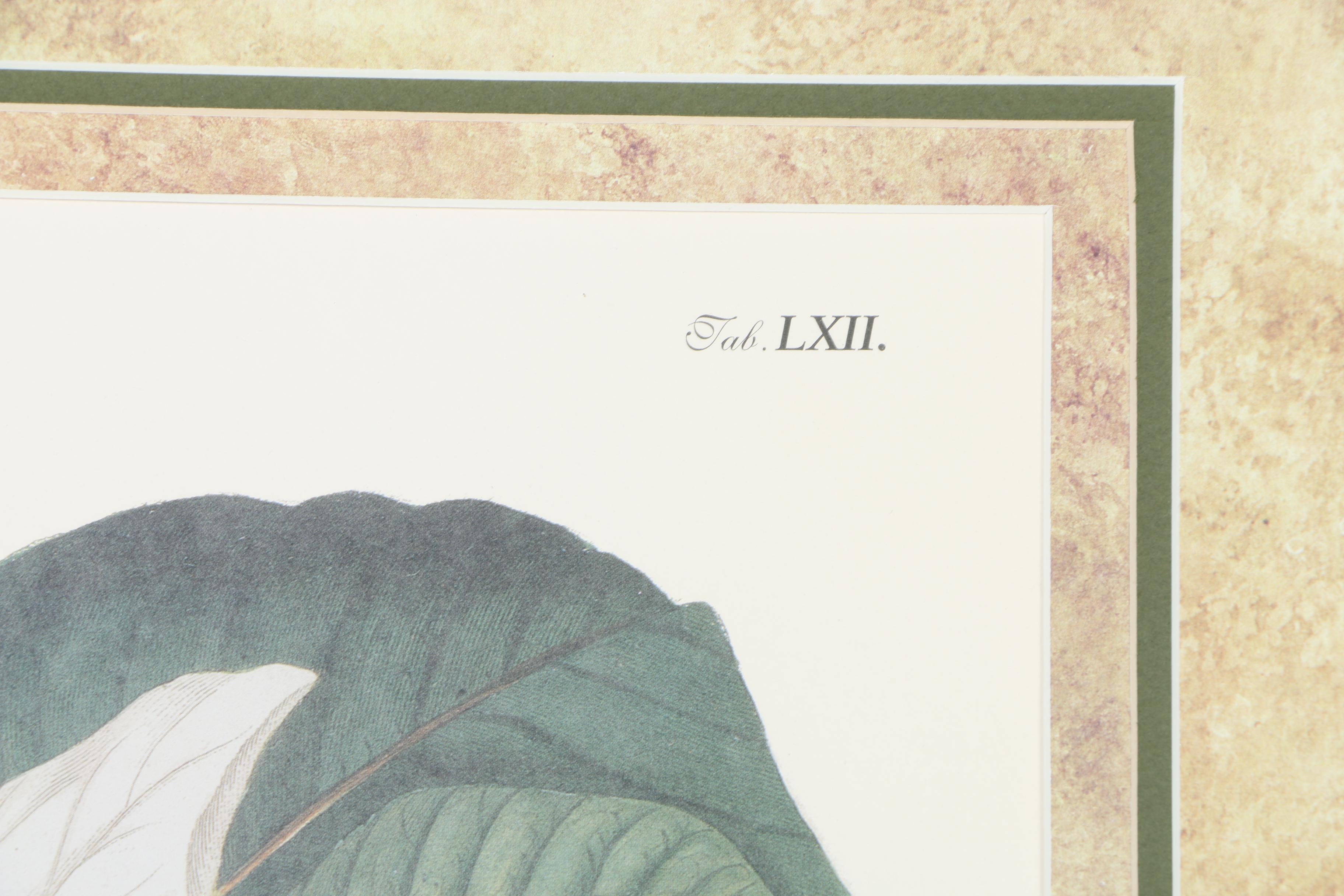 Pair of Magnolia Offset Lithograph Prints