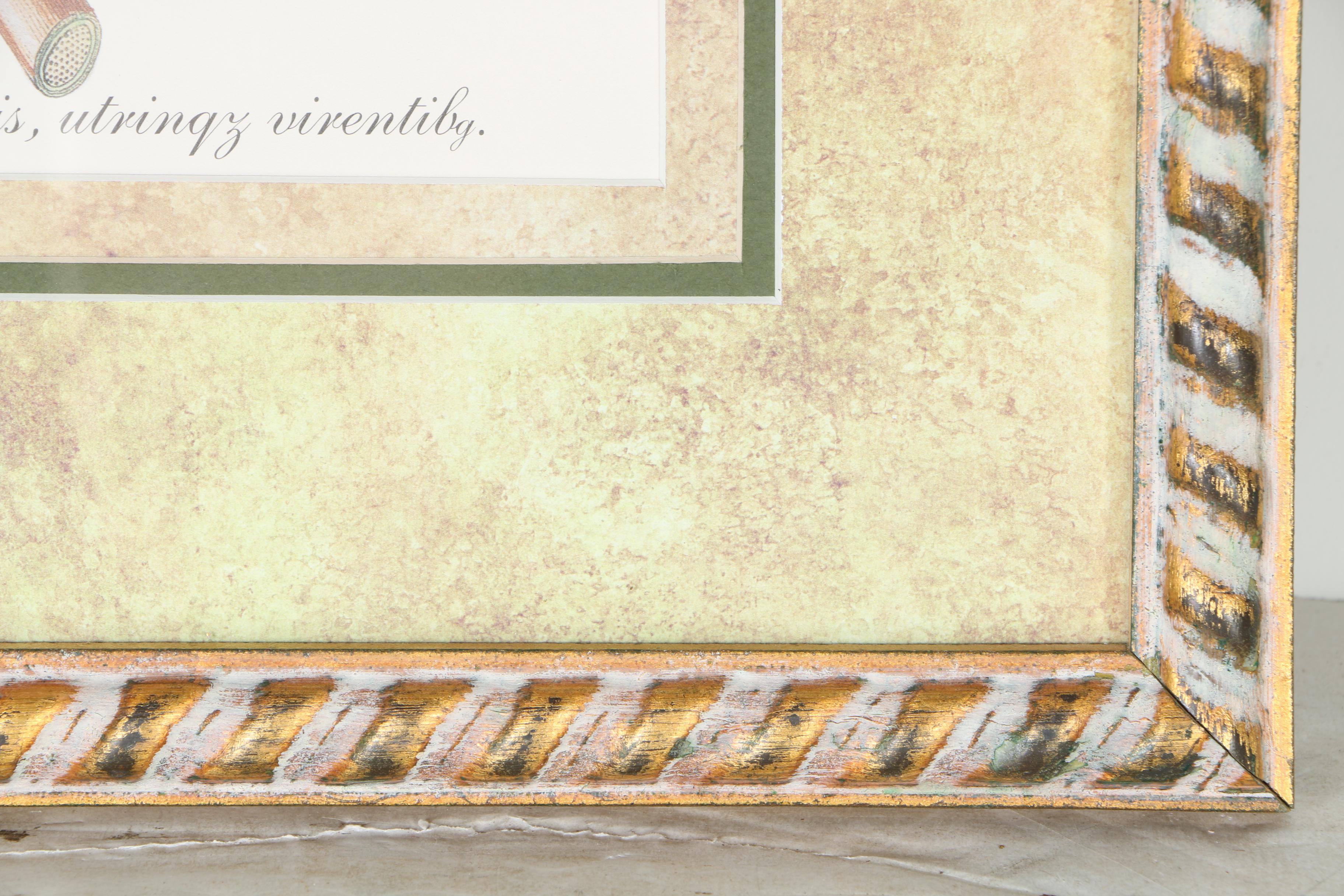 Pair of Magnolia Offset Lithograph Prints