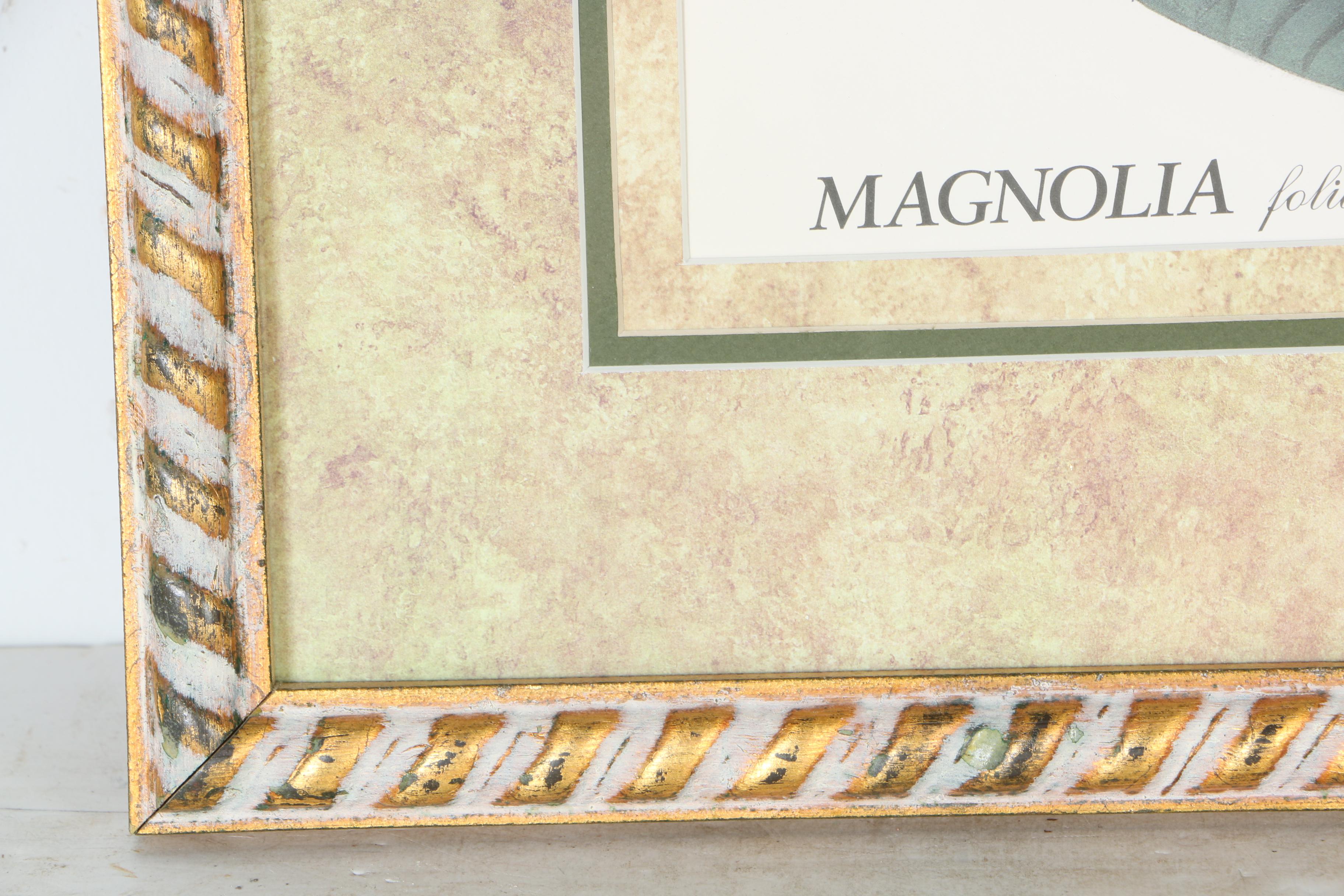 Pair of Magnolia Offset Lithograph Prints