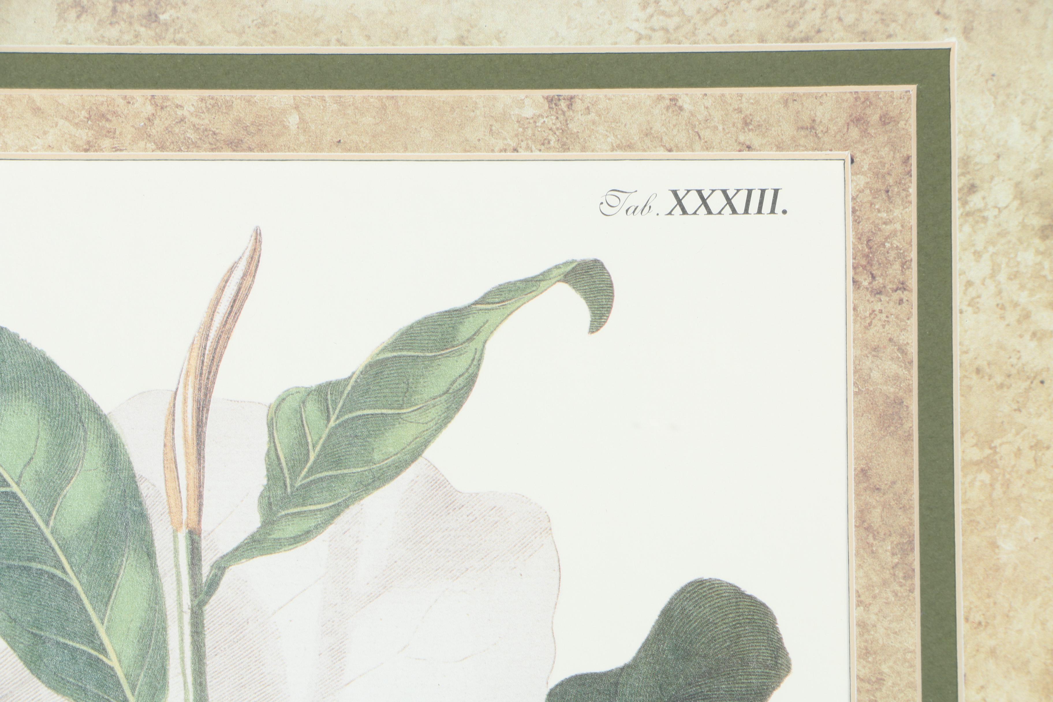 Pair of Magnolia Offset Lithograph Prints