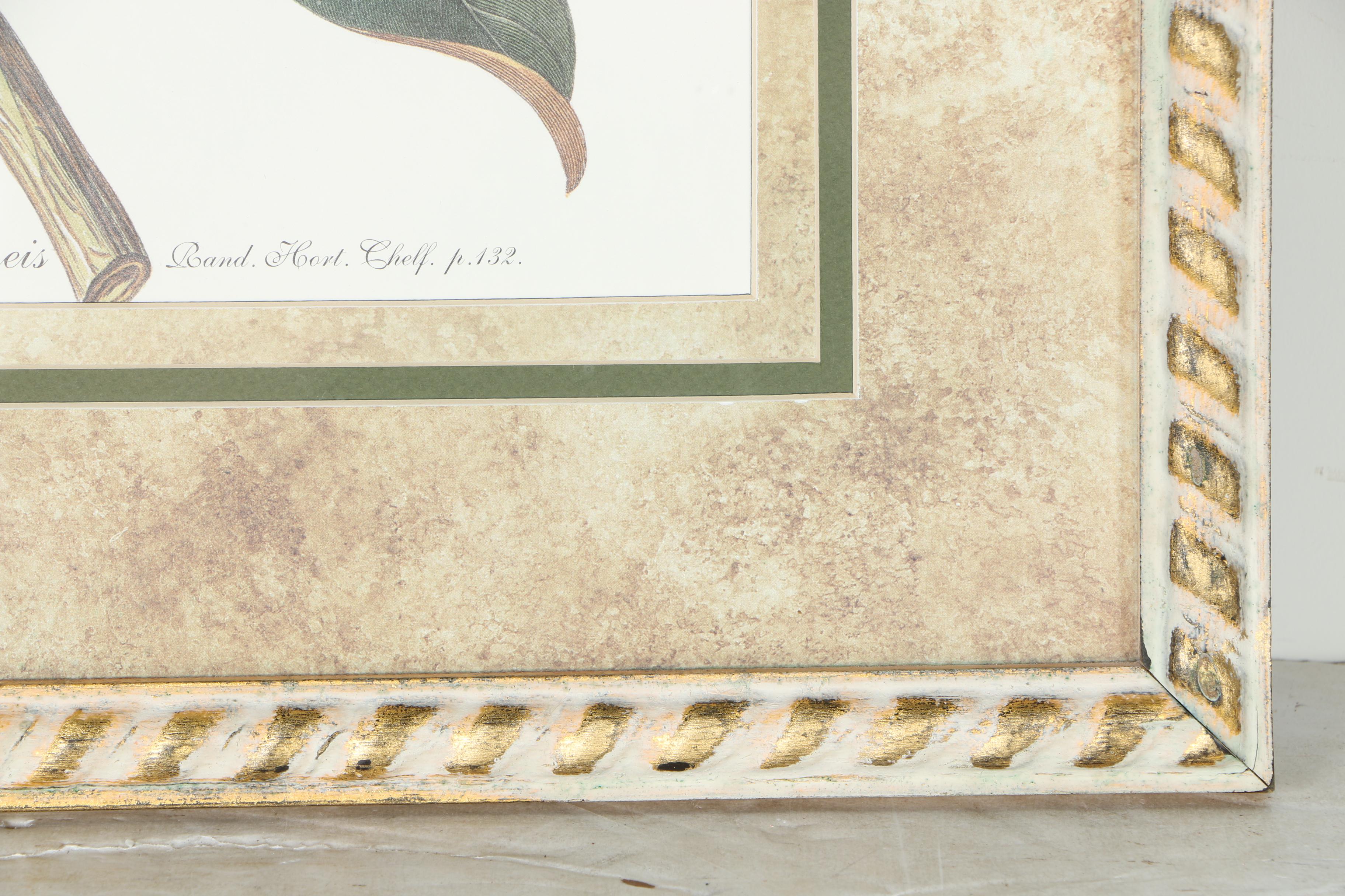 Pair of Magnolia Offset Lithograph Prints