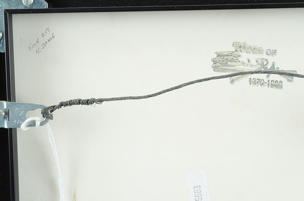 Eric Pape Ink and Gouache Illustration for "Notre Dame of Paris"